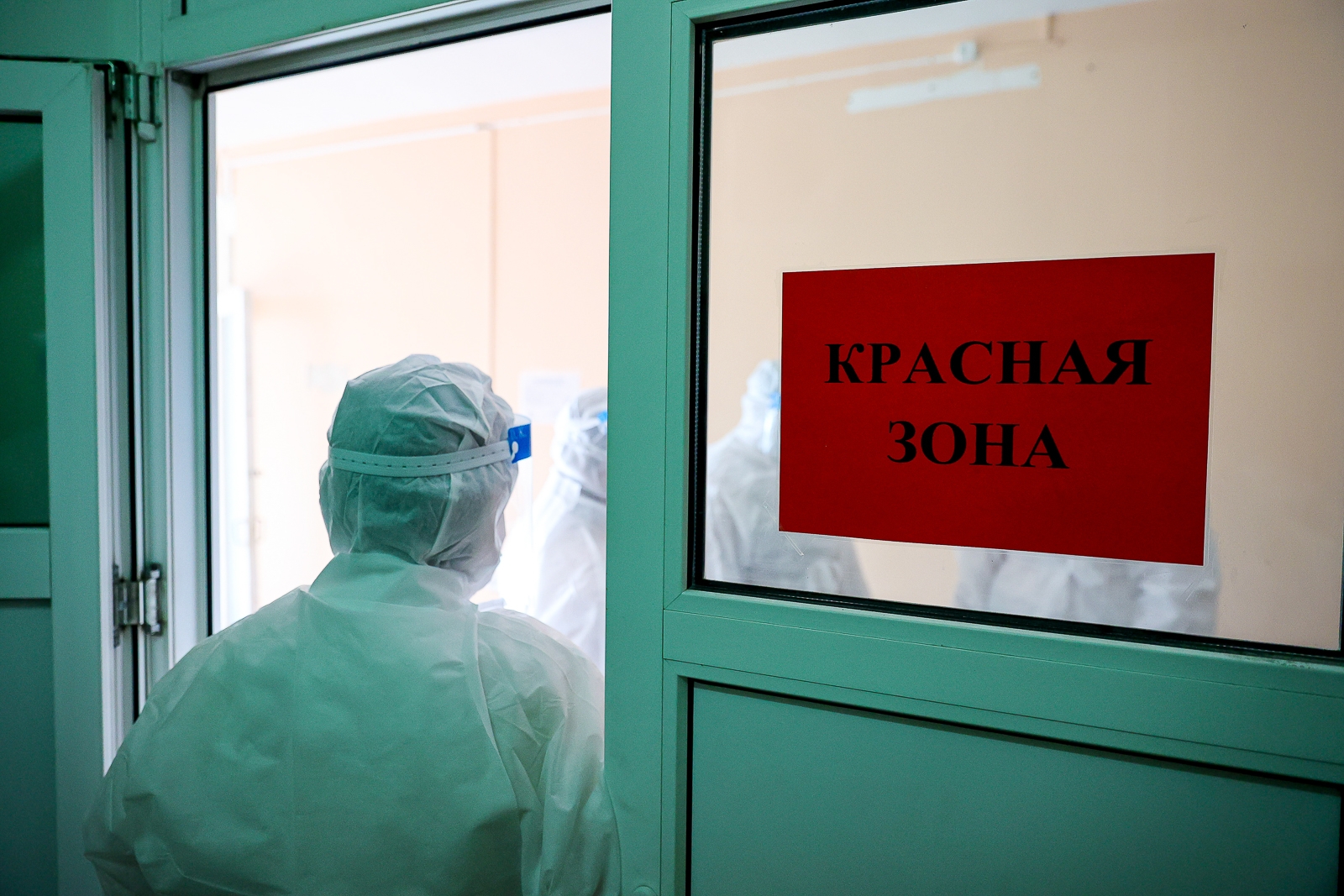 Врач предупредил о трёх новых штаммах гриппа в сезоне-2026/27 Илья Аверьянов, ИА PrimaMedia